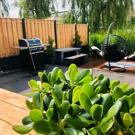 Comfort En Luxe & Ontspan Dichtbij Duin, Strand En Bos Holiday home