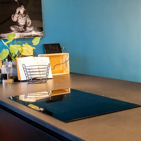 Comfort En Luxe & Ontspan Dichtbij Duin, Strand En Bos Holiday home